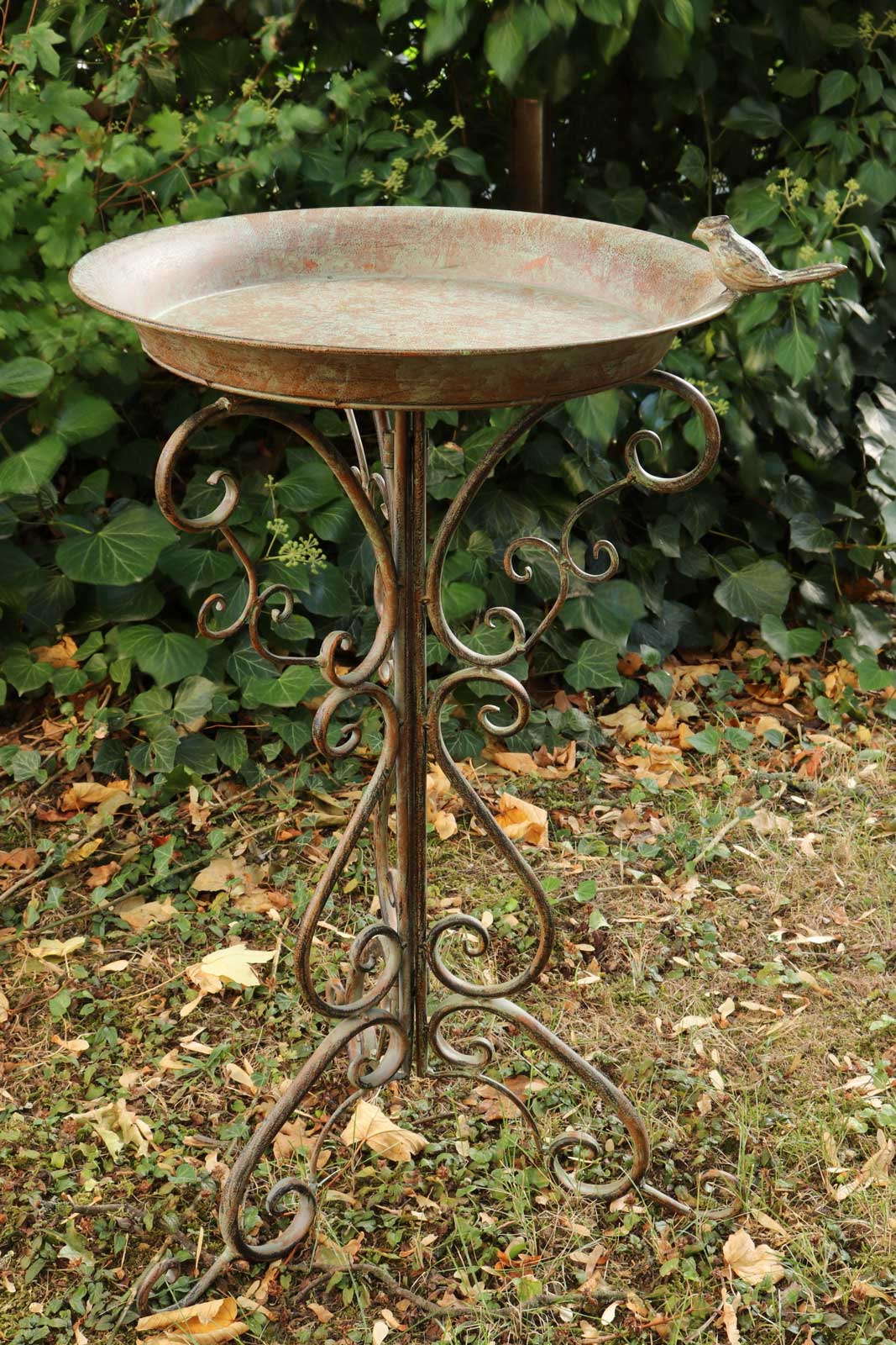 IMG_7344eDH5MTd9R45rc Vogeltränke Vogelbad Garten Vogelbecken Vogel Tränke Metall 75cm