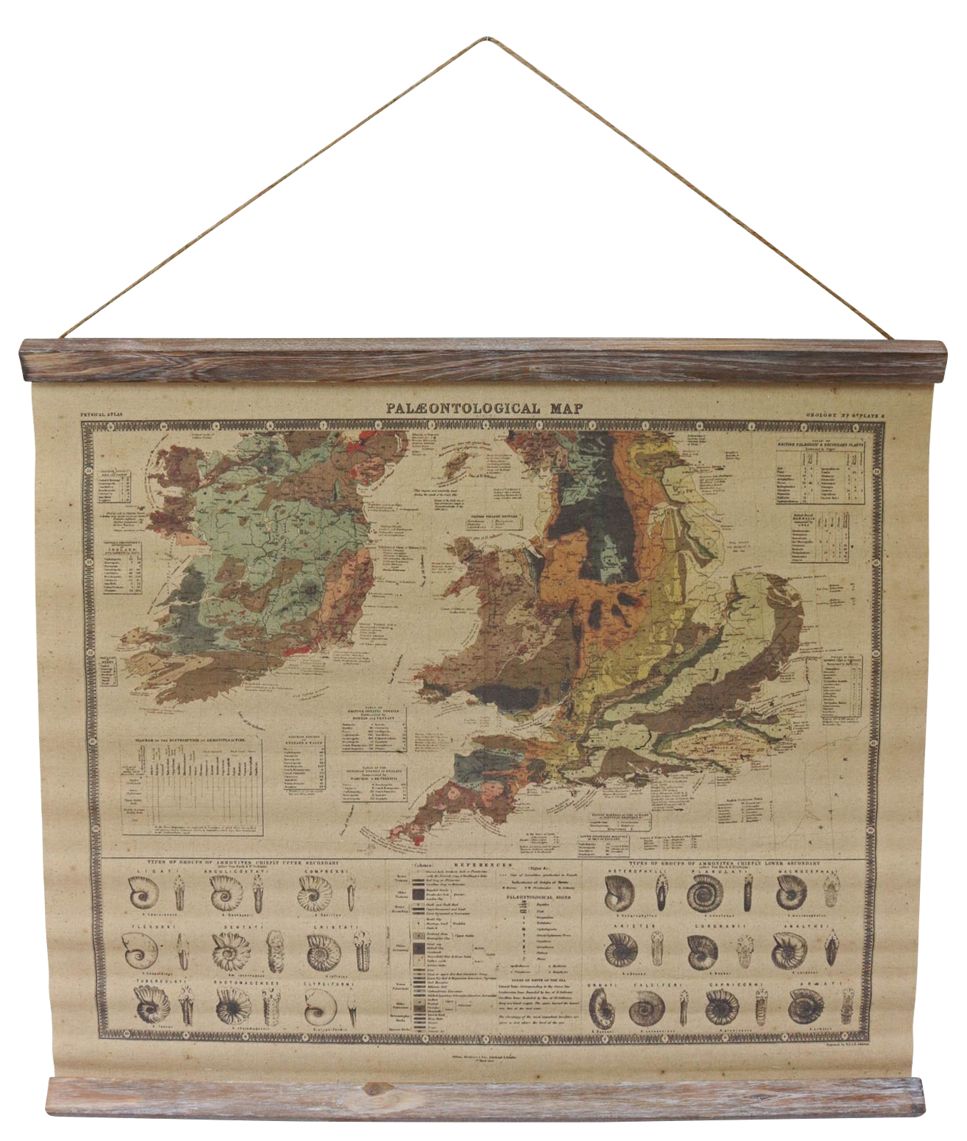 SJ-8_1 Paläontologie Ammonit Landkarte historische Karte Wandkarte Antik-Stil