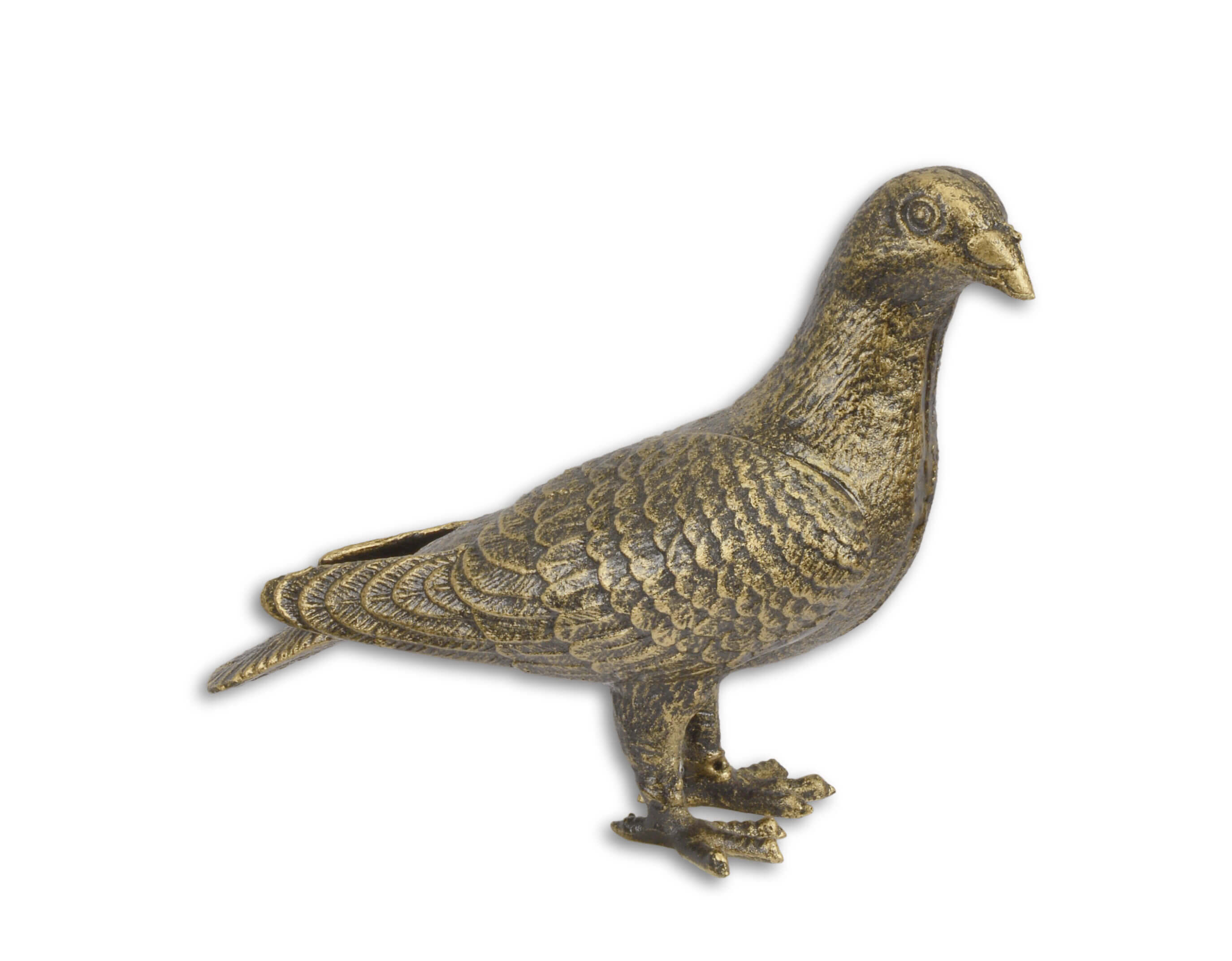Tier, Vogel