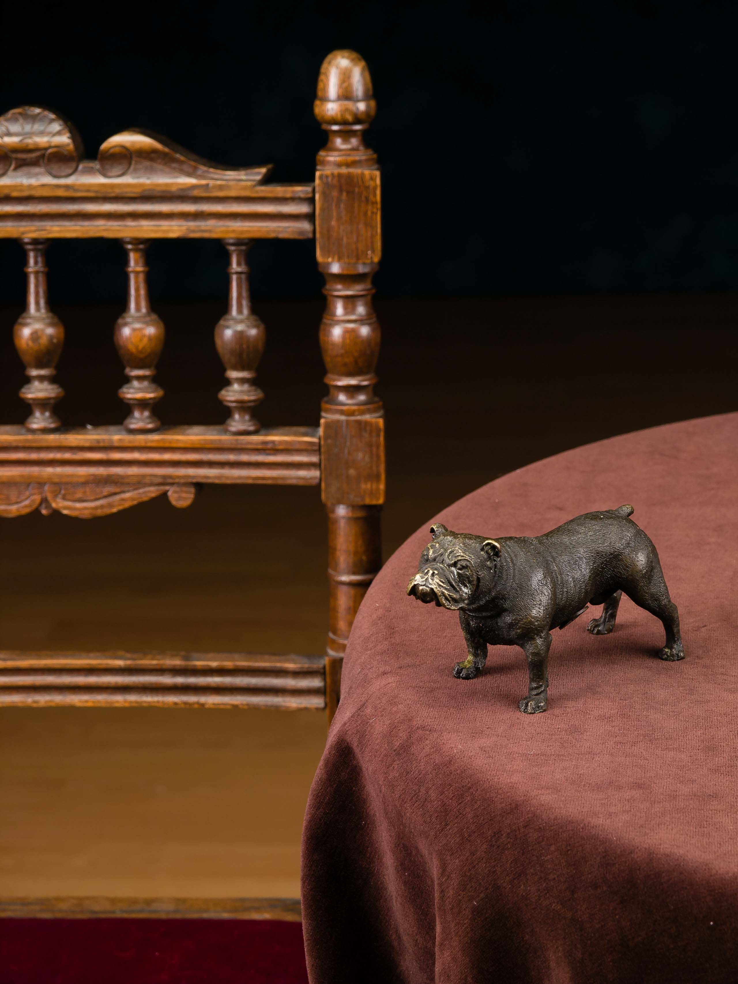 2014-08-04_Auktionshaus_009 Bronze Bulldogge Hund Dogge Figur Skulptur Mops Bronzeskulptur antik Stil