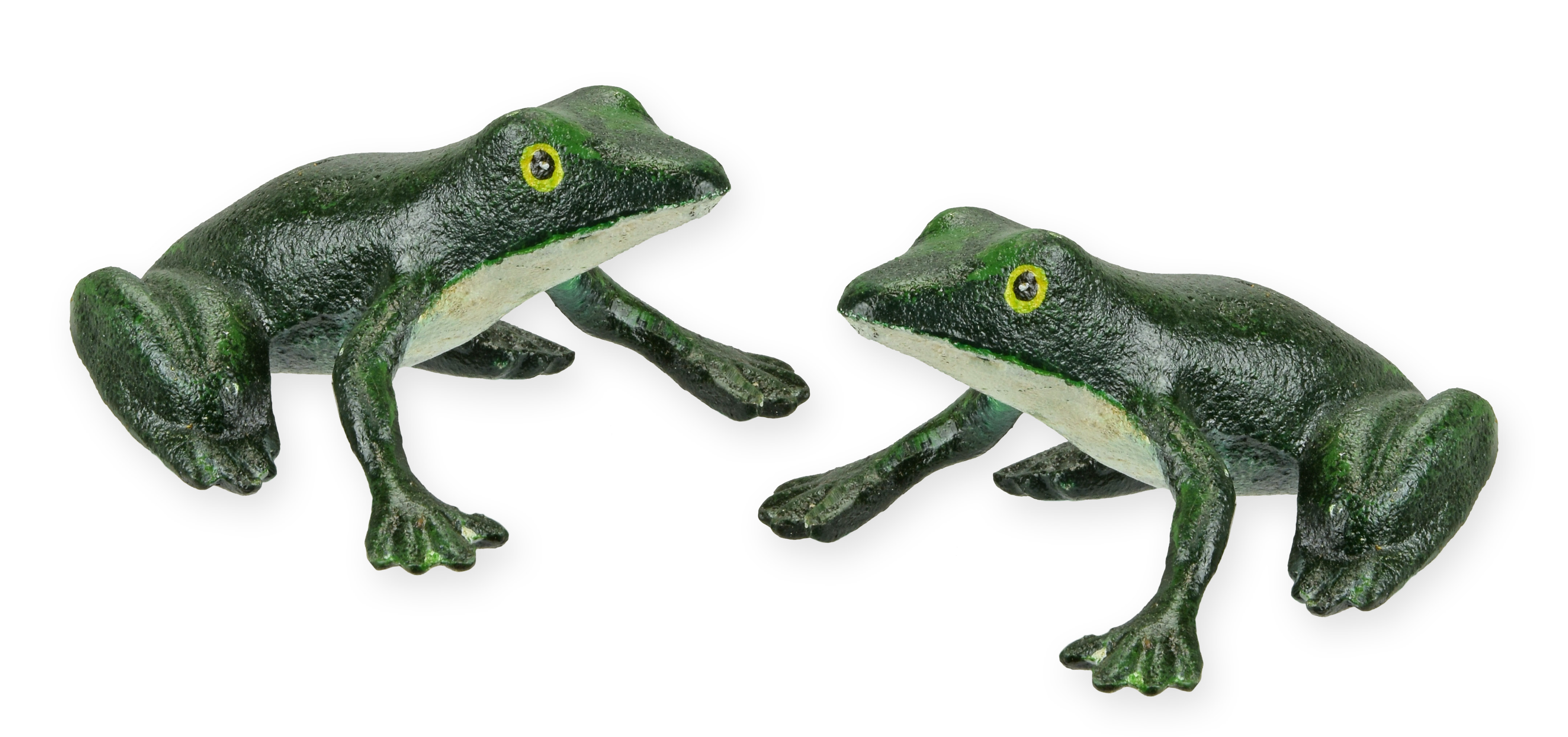 Tier, Dinosaurier, Reptil, Frosch, Tierwelt