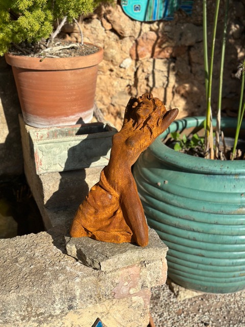 Pflanze, Pflanze im Topf, Korrosion, Rost