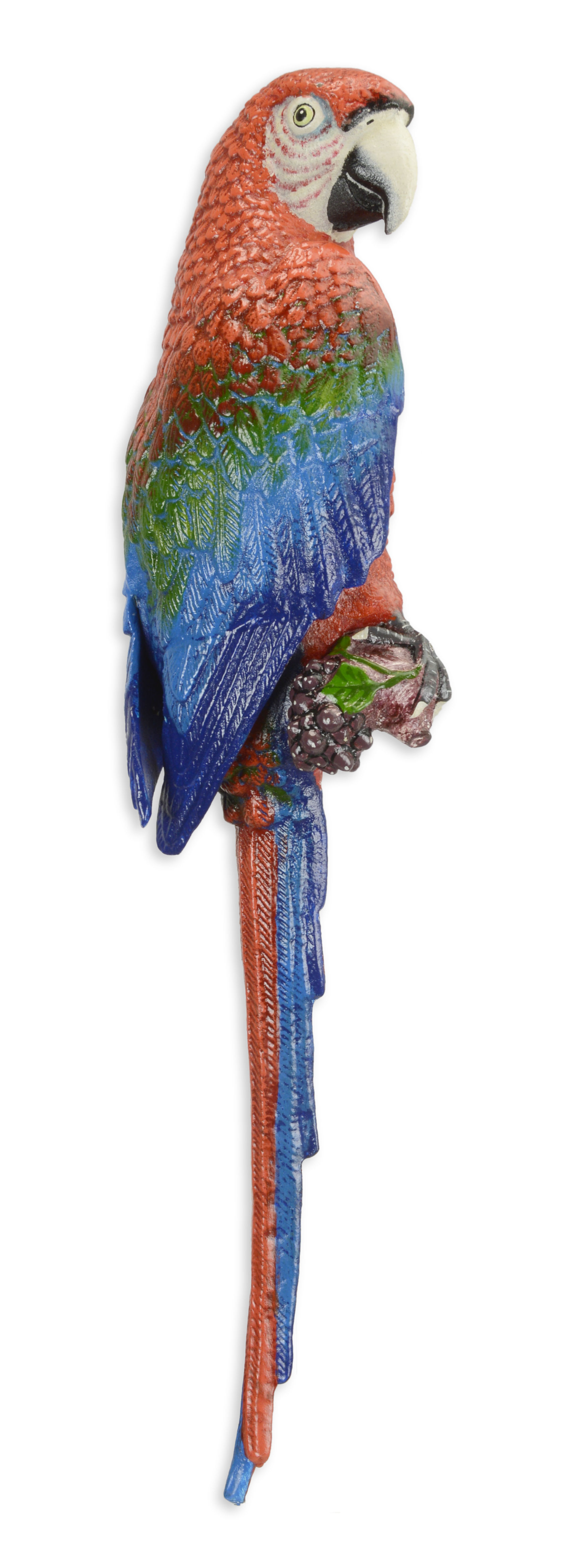 Tier, Schnabel, Vogel