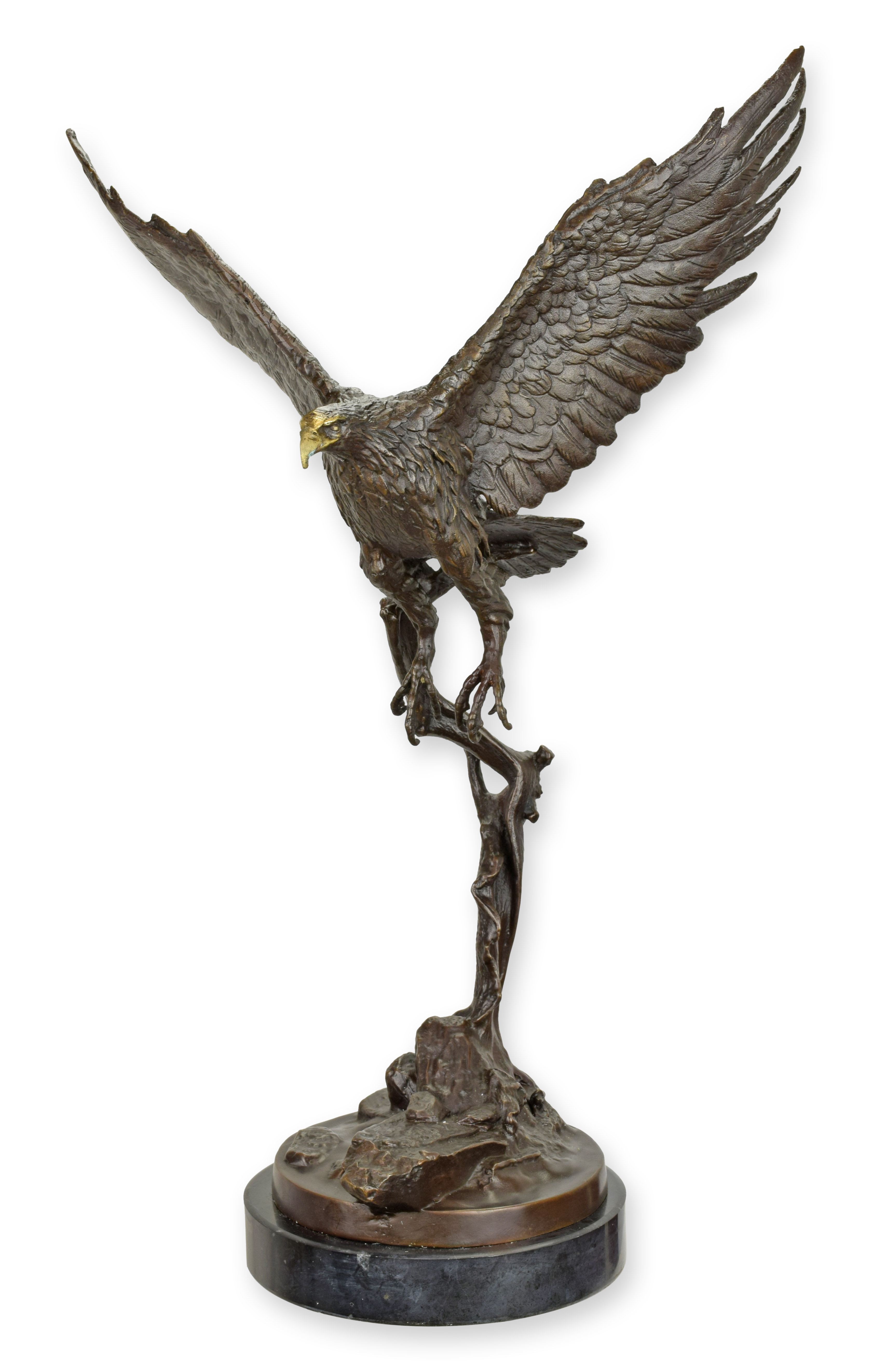 Bronze, Tier, Vogel