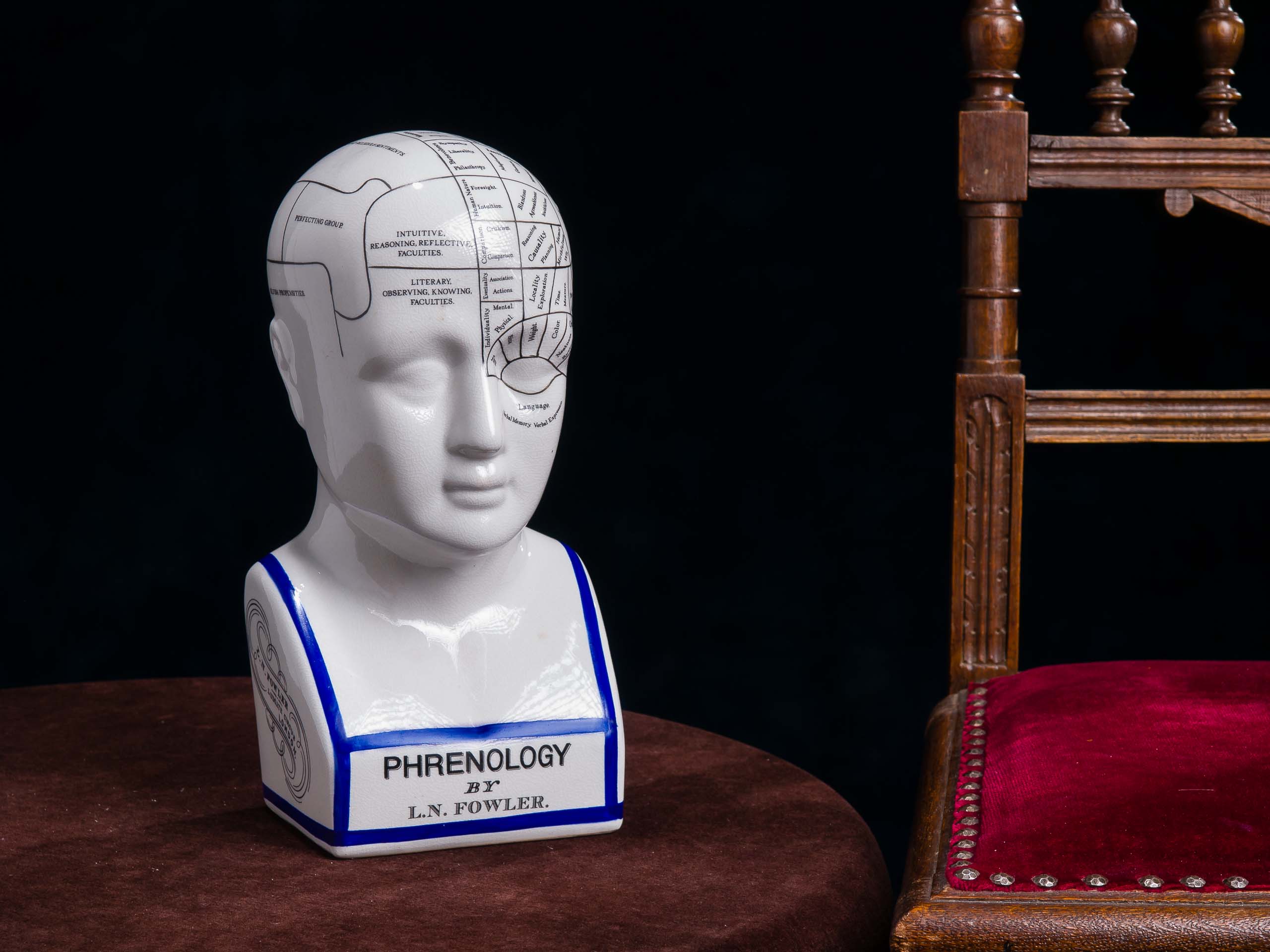 PP-11-1 Großer 30cm Phrenologie Kopf Büste Anatomie Heikpraktiker Arzt Fowler Medizin