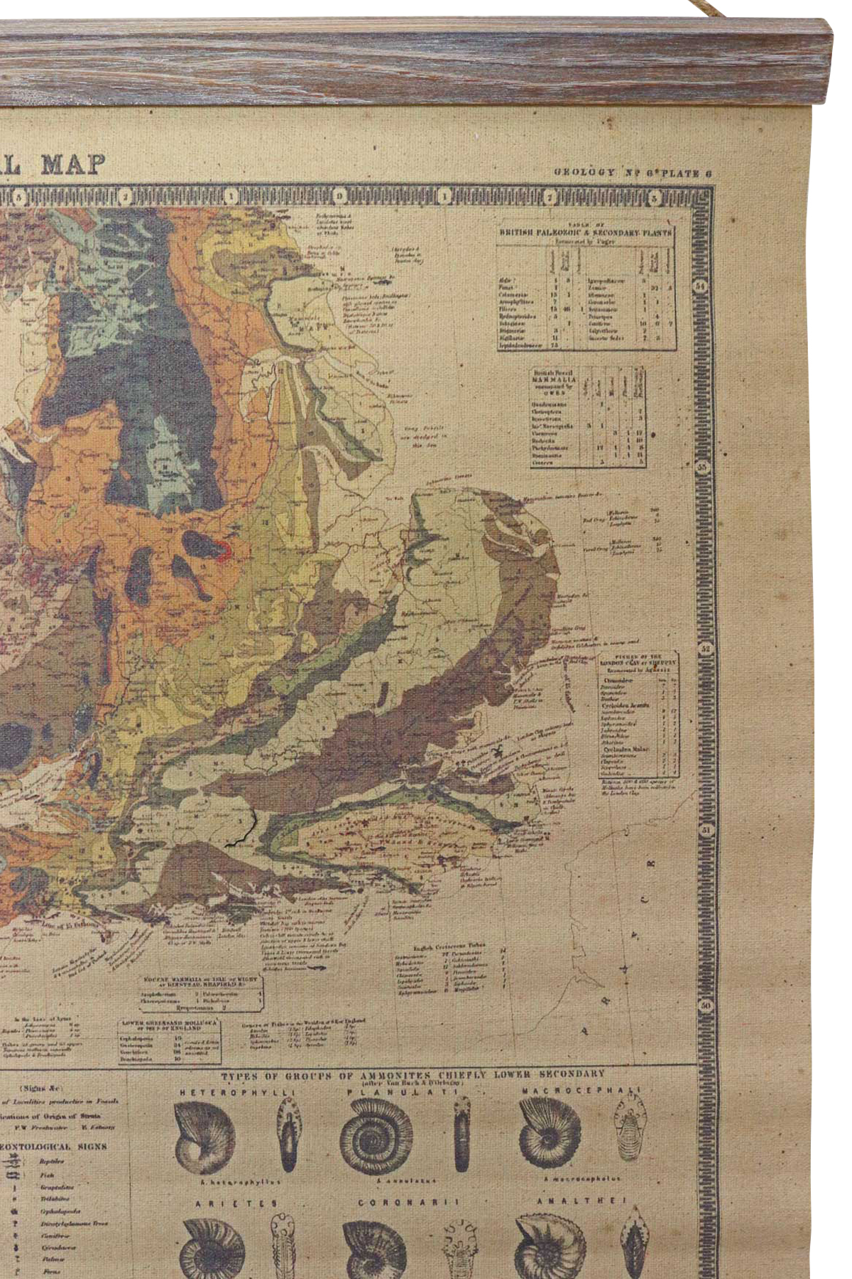 SJ-8_5 Paläontologie Ammonit Landkarte historische Karte Wandkarte Antik-Stil