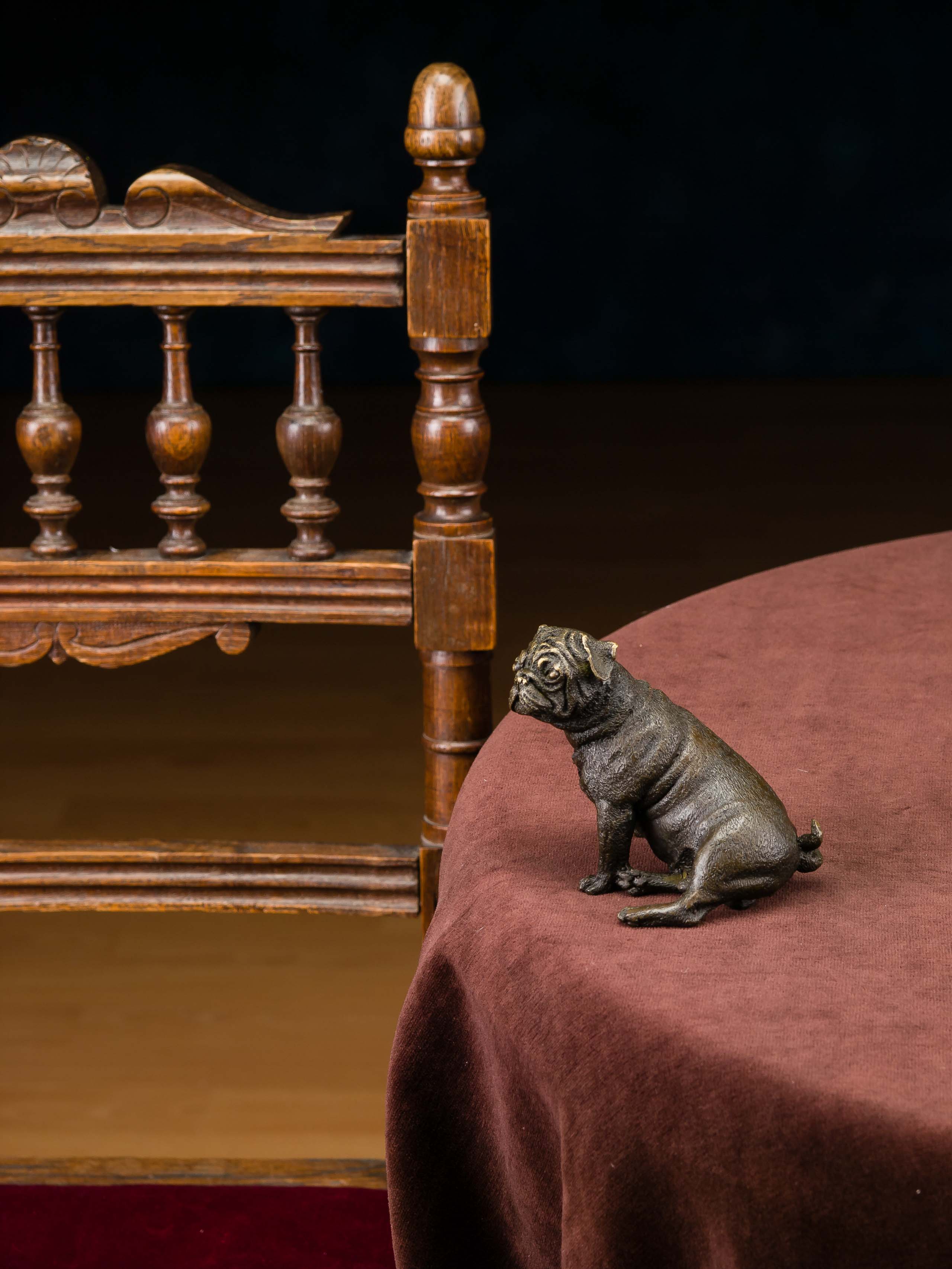 2014-08-04_Auktionshaus_008 Bronzefigur Bulldogge Hund Dogge Skulptur Bronze Bronzeskulptur antik Stil