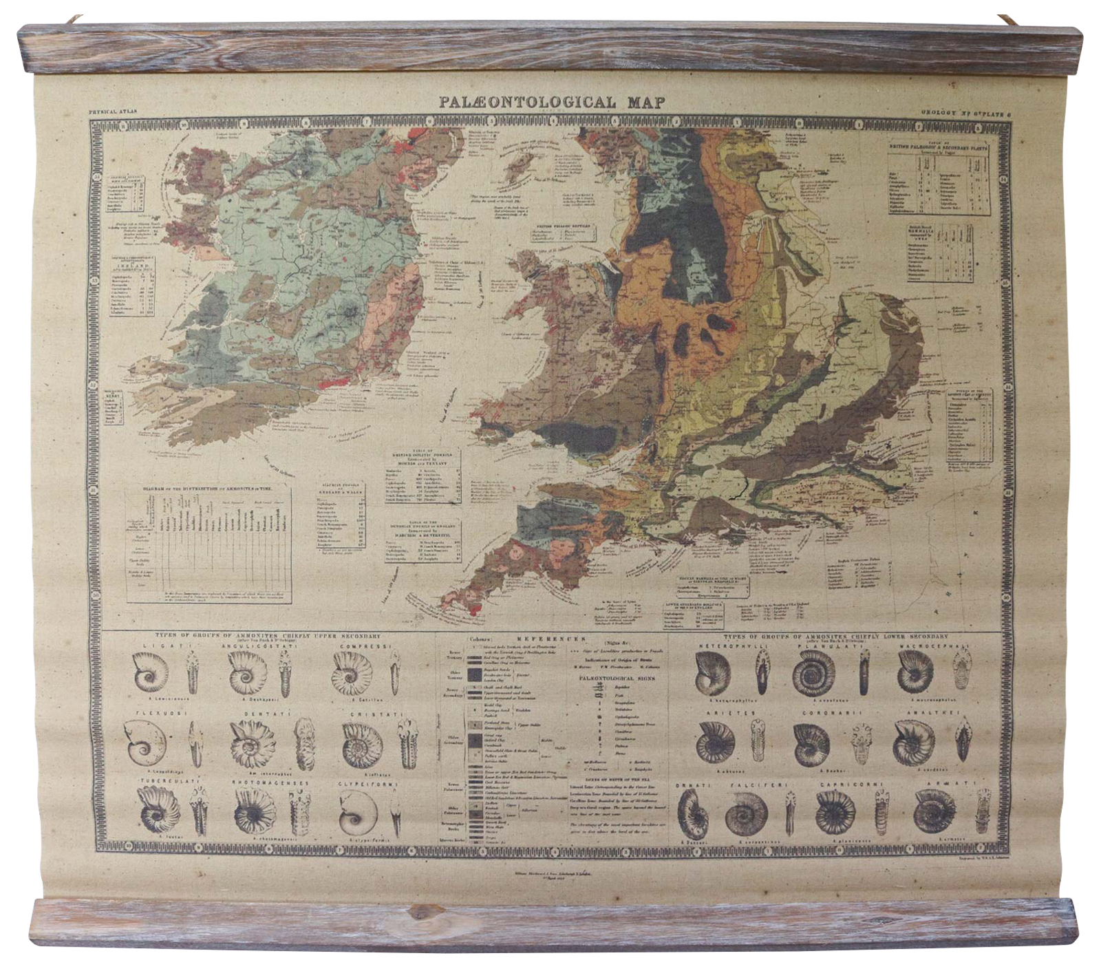 SJ-8_2 Paläontologie Ammonit Landkarte historische Karte Wandkarte Antik-Stil