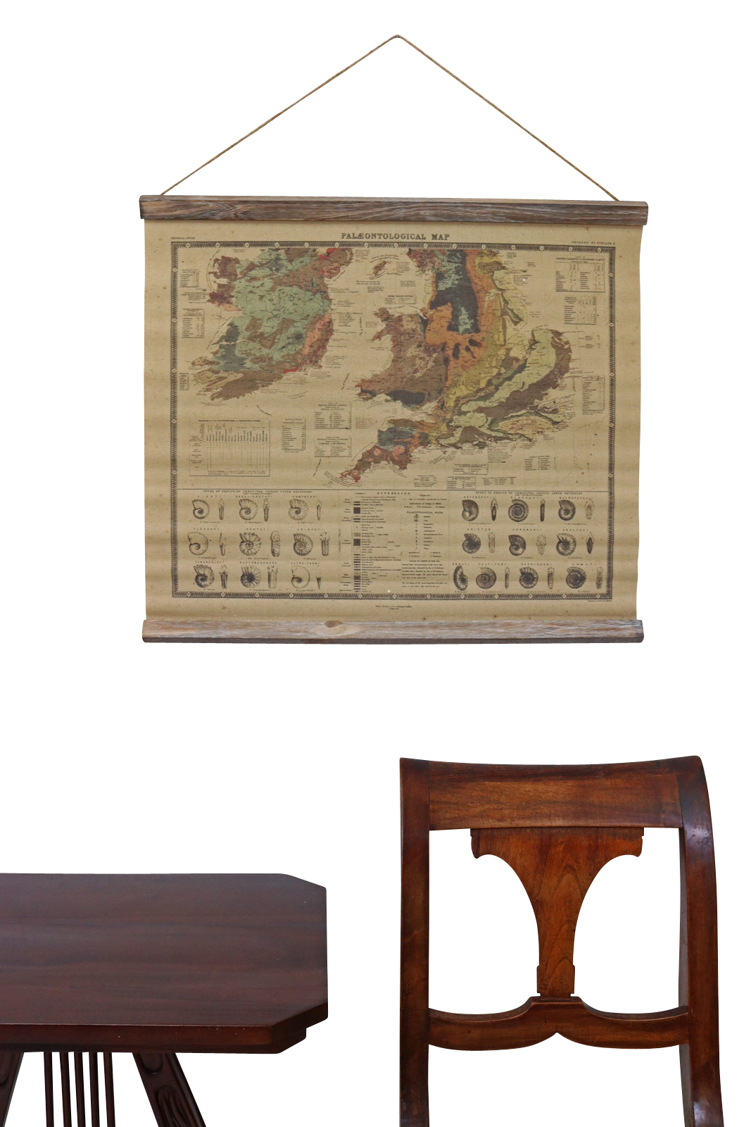 SJ-8_4 Paläontologie Ammonit Landkarte historische Karte Wandkarte Antik-Stil