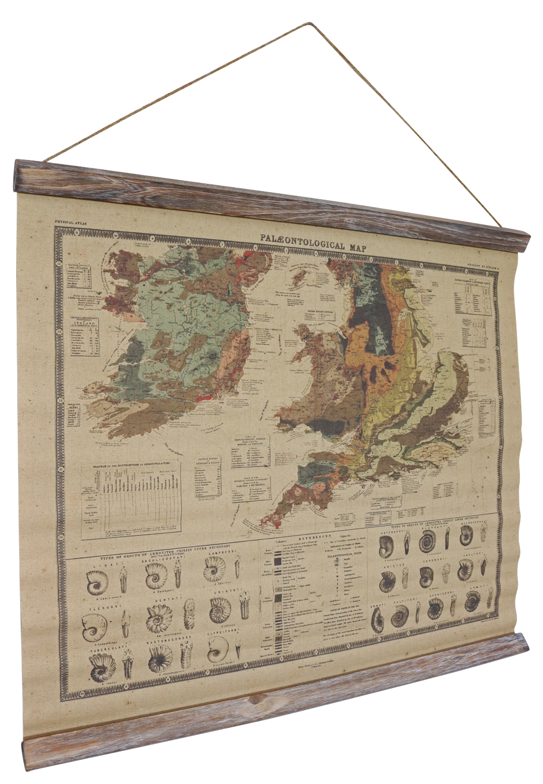 SJ-8_3 Paläontologie Ammonit Landkarte historische Karte Wandkarte Antik-Stil