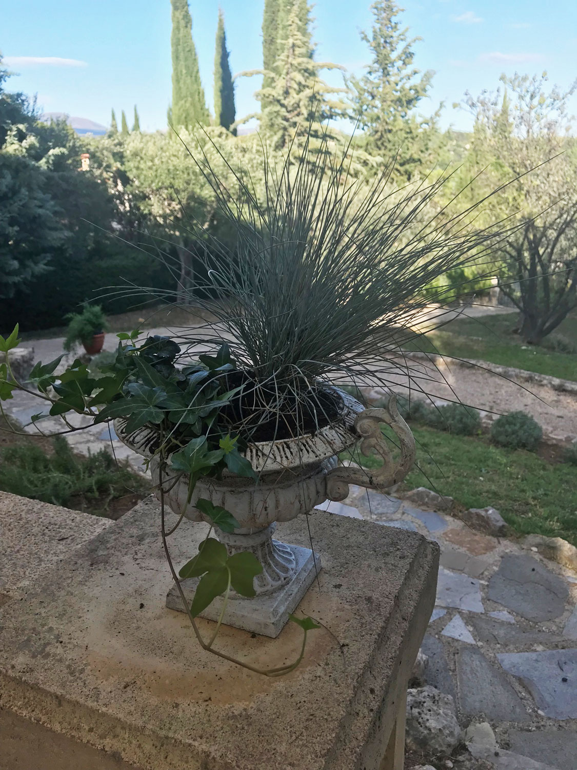 Nostalgie Amphore Pflanzamphore Pflanzkübel Blumentopf Blumenkübel Gusseisen