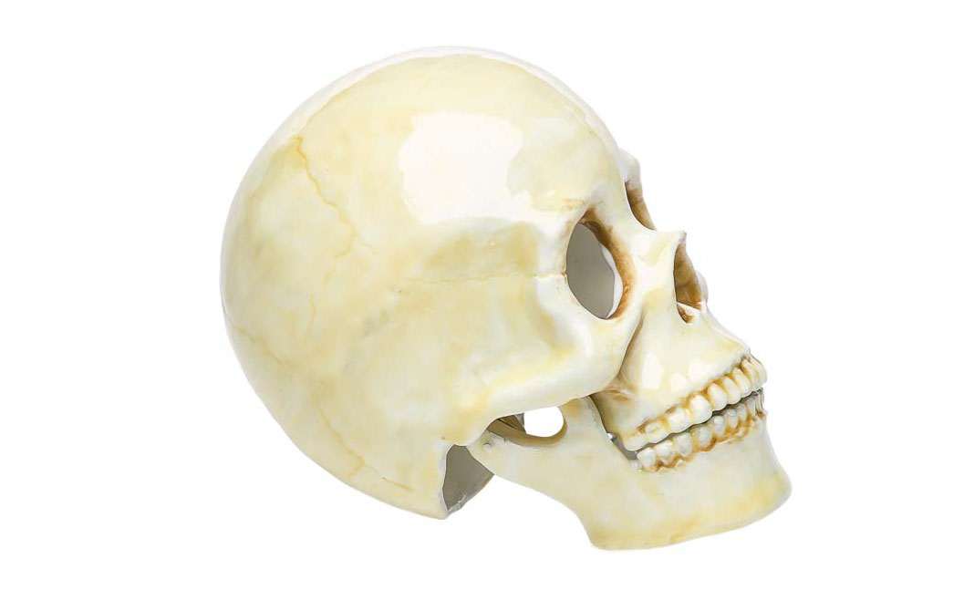 2016-03-29_Auktionshaus_092z33aywd66HsUY Schmuckschatulle Totenkopf Pillendose Gothic Schmuckdose Dose Pillenbox