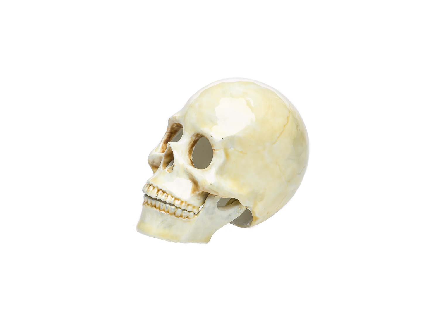 2016-03-29_Auktionshaus_091 Schmuckschatulle Totenkopf Pillendose Gothic Schmuckdose Dose Pillenbox