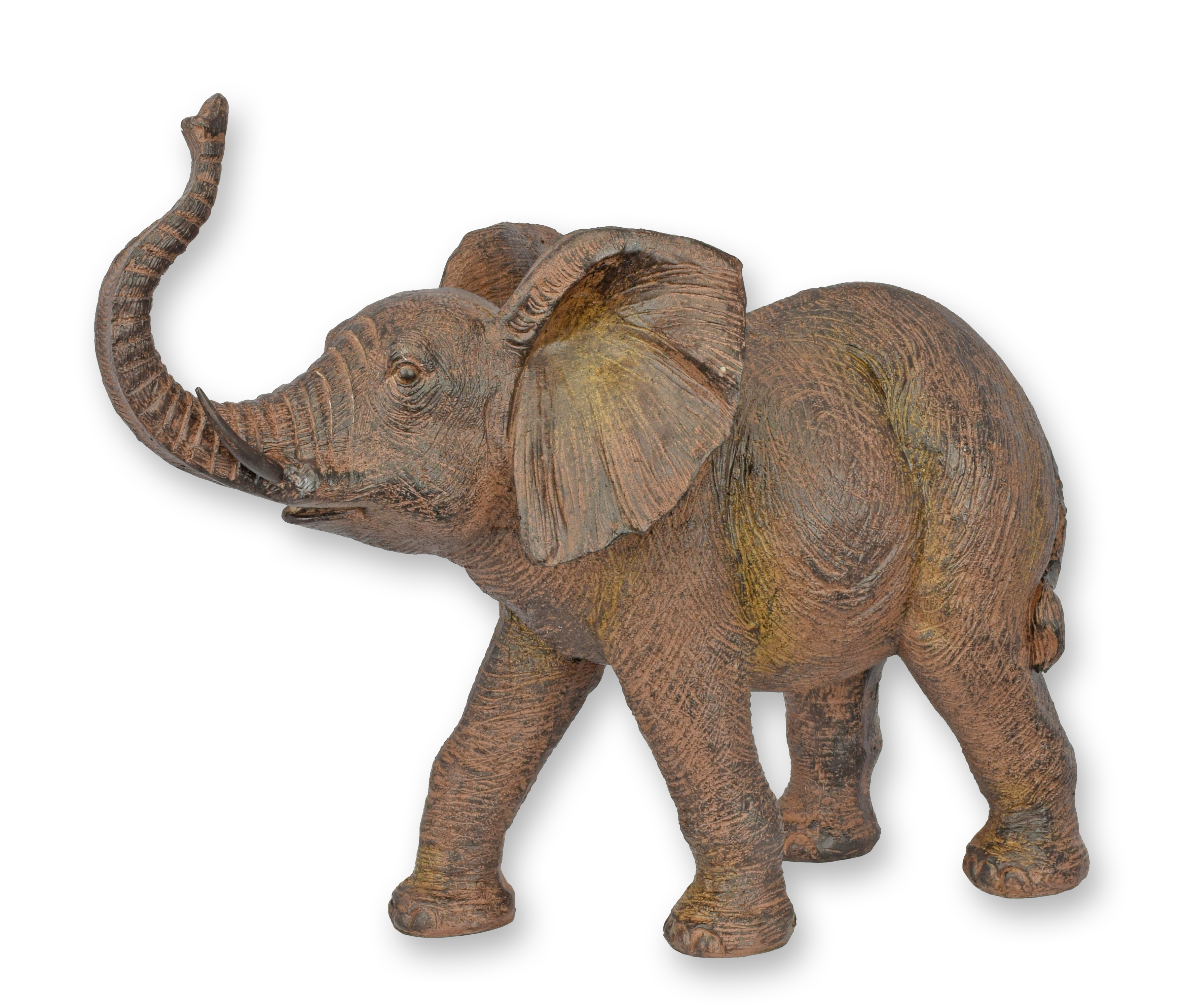 Tier, Elefant, Säugetier, Tierwelt