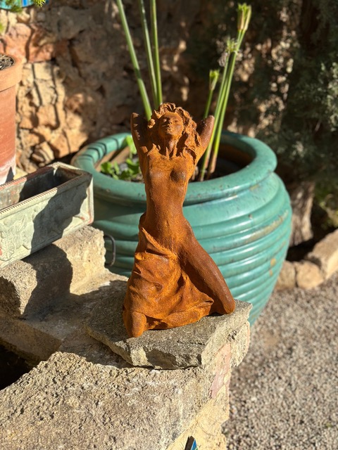 Pflanze, Pflanze im Topf, Töpferei