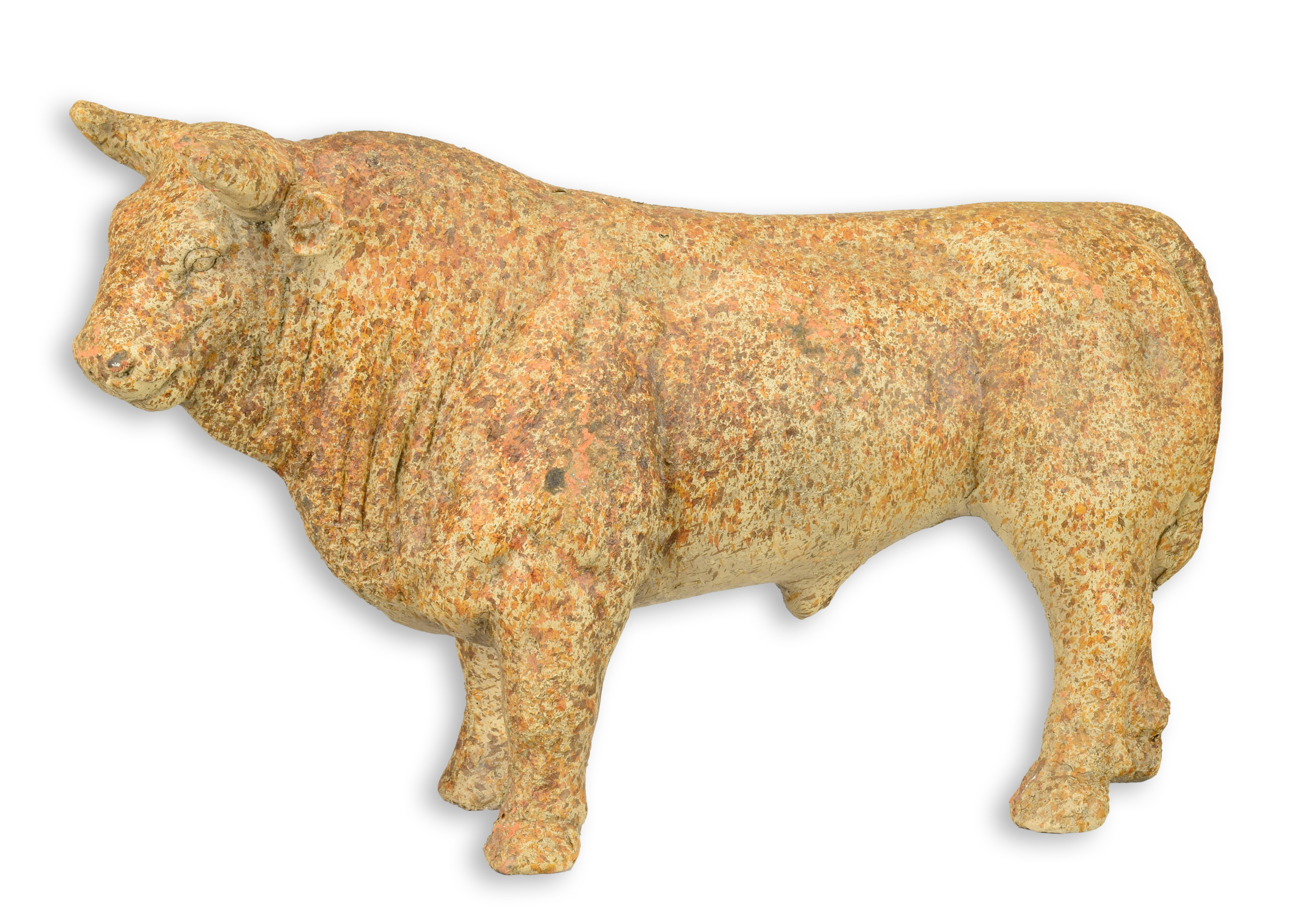 Tier, Stier, Säugetier